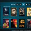 Options for Kodi 17 Builds and to Tackle Netflix Detects VPN